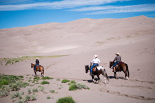 USA-Colorado-Bison and Cattle Working Ranch in Colorado